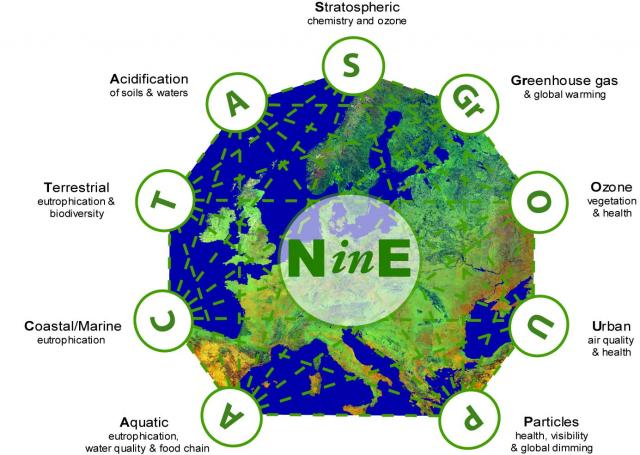 NinE logo